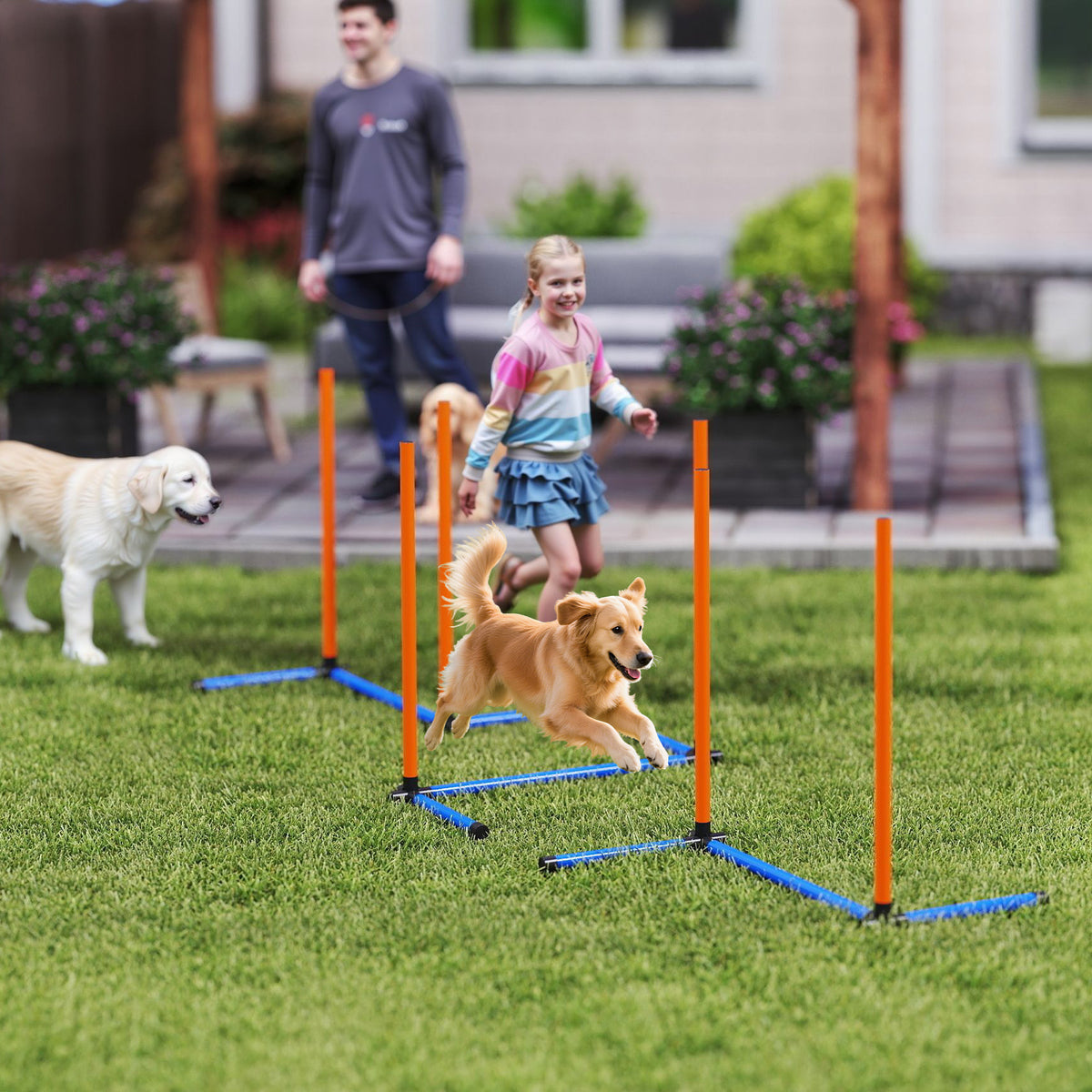 PawHut Agility Set Hunde 3-teiliges Agility Ausrüstung mit Slalomstangen Tragetasche Trainingsset für – Produktabbildung 2