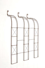 CLP Wandrankhilfe Muro – Produktabbildung 3