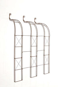 CLP Wandrankhilfe Muro – Produktabbildung 3