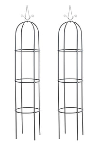 CLP 2er Set Rosensäule Romantika