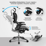 CLP Bürostuhl Norfolk Ergonomic – Produktabbildung 2