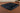 CLP Abdeckhaube 200x200x28, Sonnenliegen Sets