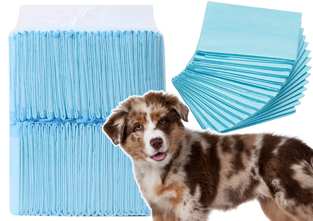 LEAN Hygienische Saugeinlagen für Tiere 50 Stk