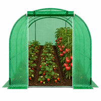 LEAN Folientunnel-Gartengewächshaus PRO Rahmen 25 mm 6 x 3 x 2 m 18 m² – Produktabbildung 3