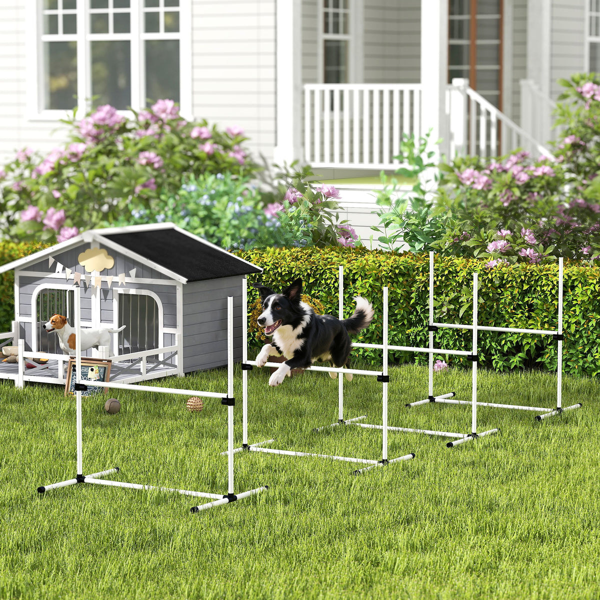 PawHut Agility Set Hunde 4-teiliges höhenverstellbar Agility-Ausrüstung Sprungstangen-Set Steckhürdenset – Produktabbildung 2