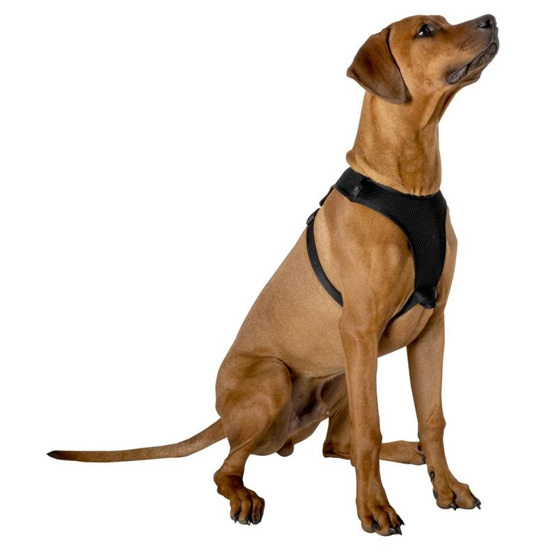 Jiný Postroj für psy / postroj 67,6 x 106,5 cm Größe L (schwarz) – Produktabbildung 2