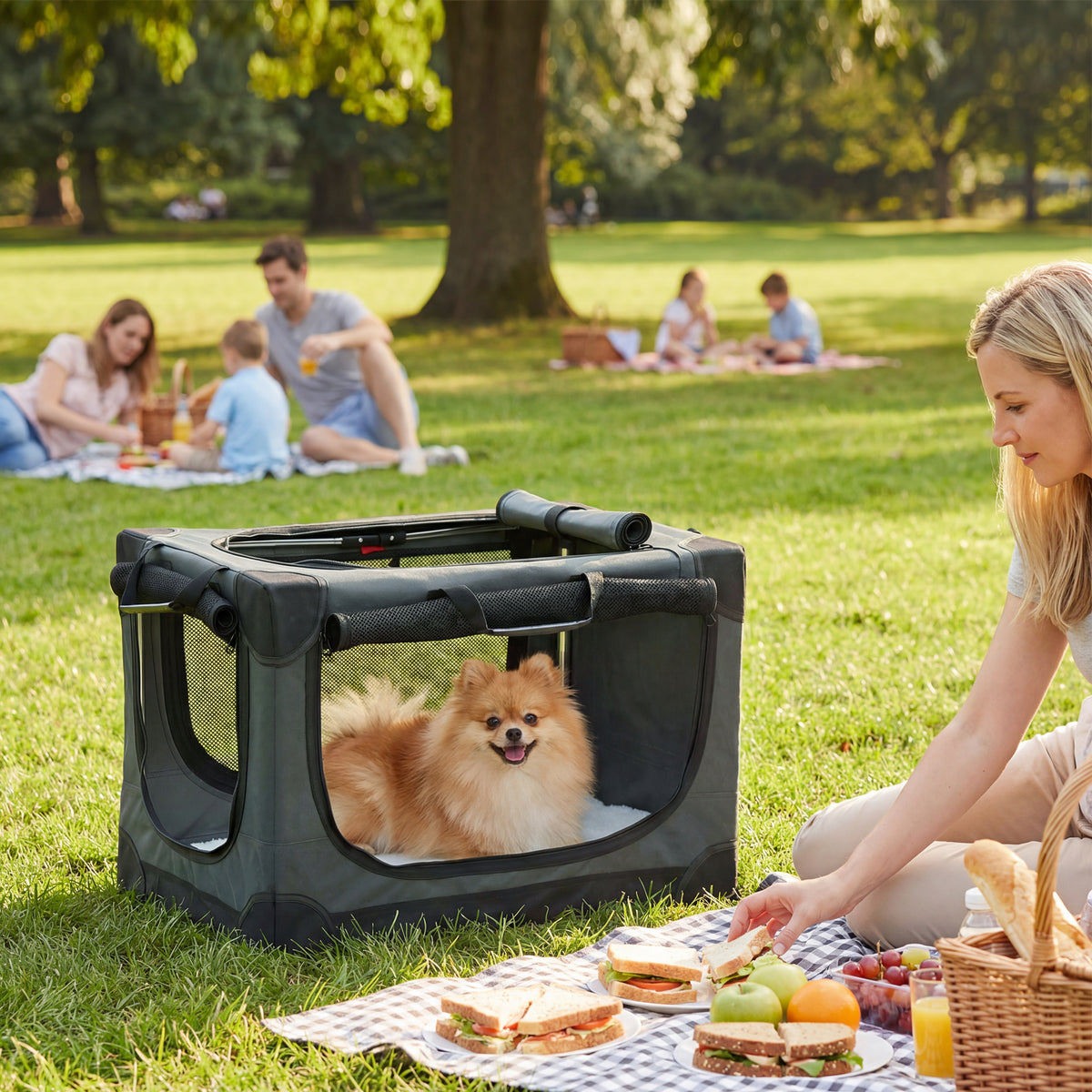 PawHut Hundebox faltbar Hundetransportbox mit Kissen abnehmbar waschbar Bezug aus Oxford-Gewebe für – Produktabbildung 2