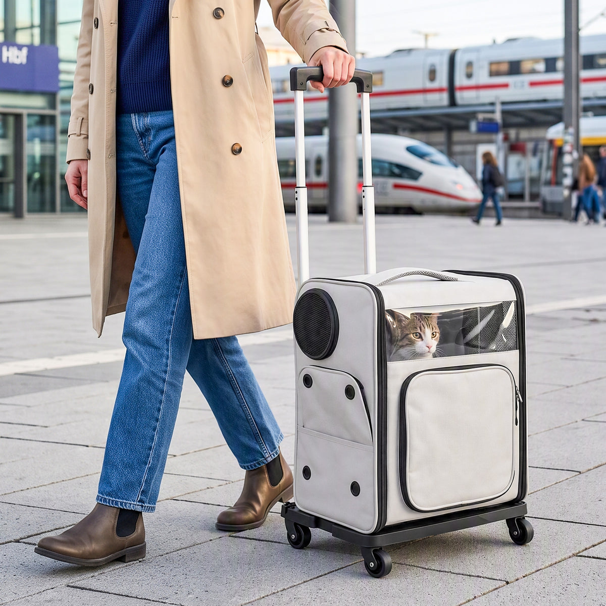 PawHut Hunderucksack 2 in 1 faltbare Transporttasche mit Rollen Rückenstütze Mesh-Fenstern Seitentasche – Produktabbildung 2