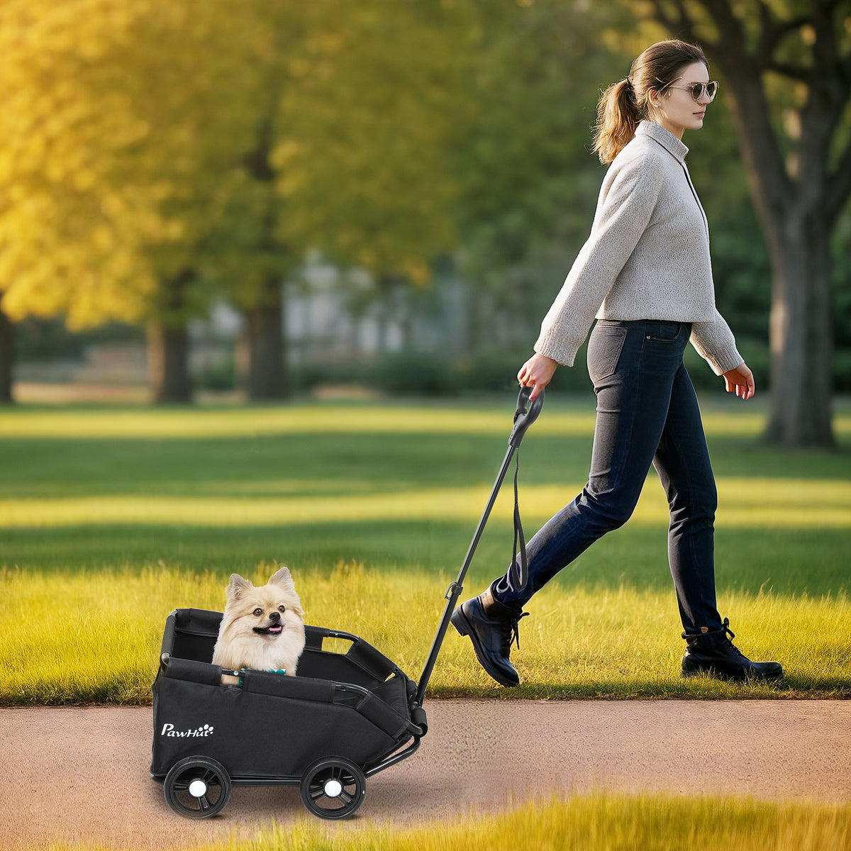 PawHut Hundewagen, klappbarer Hundebuggy für Zwergenhunde bis zu 4 kg, zusammenklappbarer Katzenbuggy – Produktabbildung 2