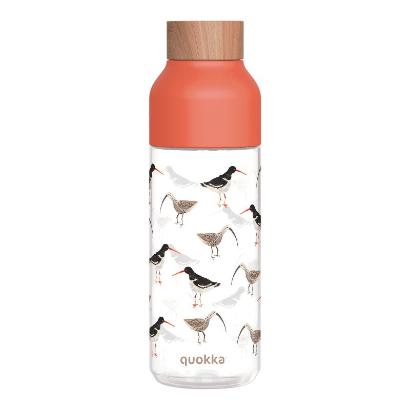 Quokka Ice - Trinkflasche ecozen 720 ml (Ptáci)
