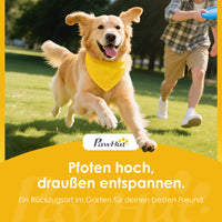 PawHut Hundeliege Outdoor, Erhöhtes Hundebett für große Hunde, mit Stahlrahmen, atmungsaktiv Netzgewebe – Produktabbildung 9