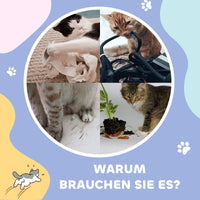 PawHut Katzentunnel, 2 Katzenhöhlen, Kratzflächen und Ballspielzeug, 98 cm x 30 cm x 30 cm, Braun + Grau – Produktabbildung 7