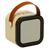 Karaoke-Set 2 Mikrofone + tragbarer Lautsprecher BLUETOOTH USB LED beige