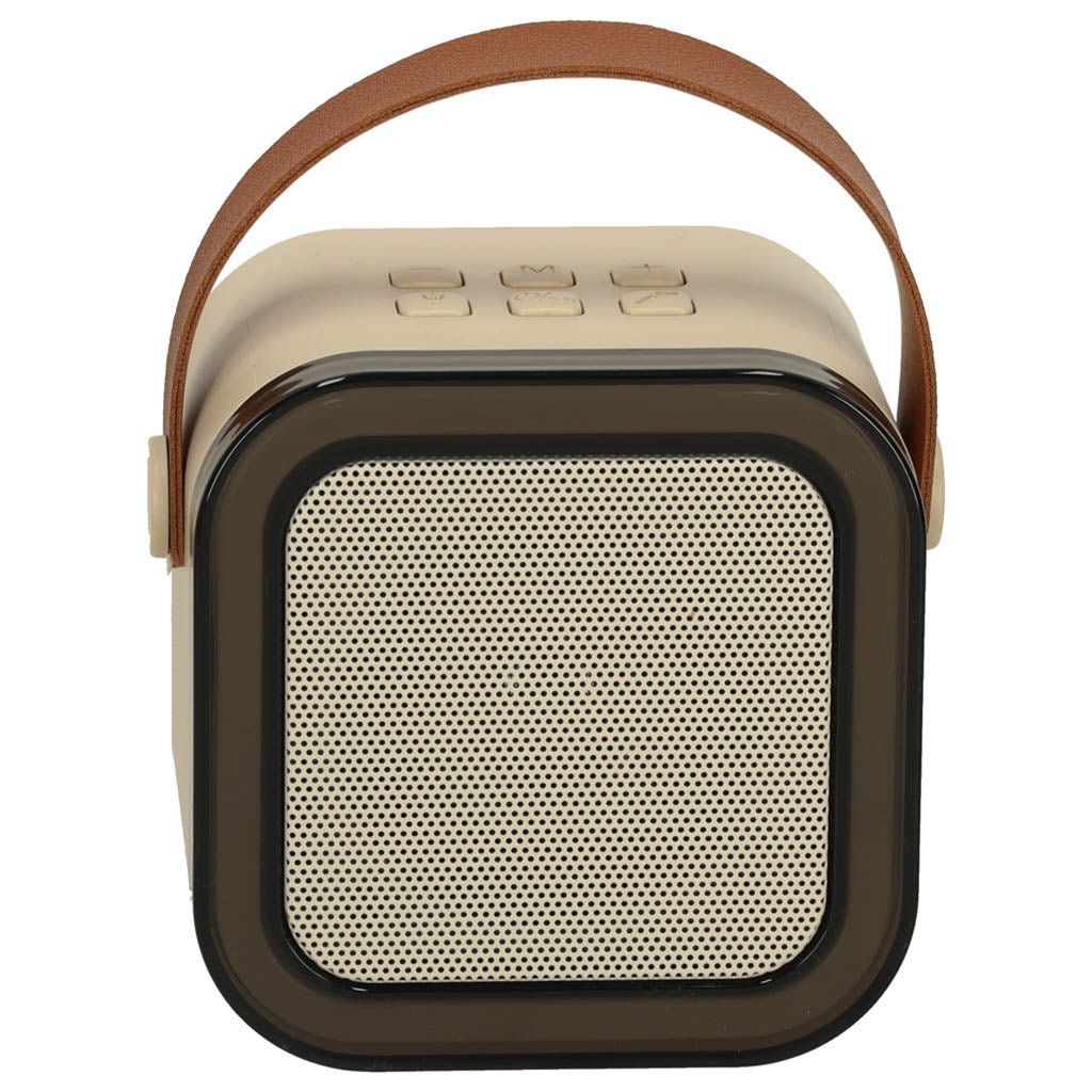 Karaoke-Set 2 Mikrofone + tragbarer Lautsprecher BLUETOOTH USB LED beige