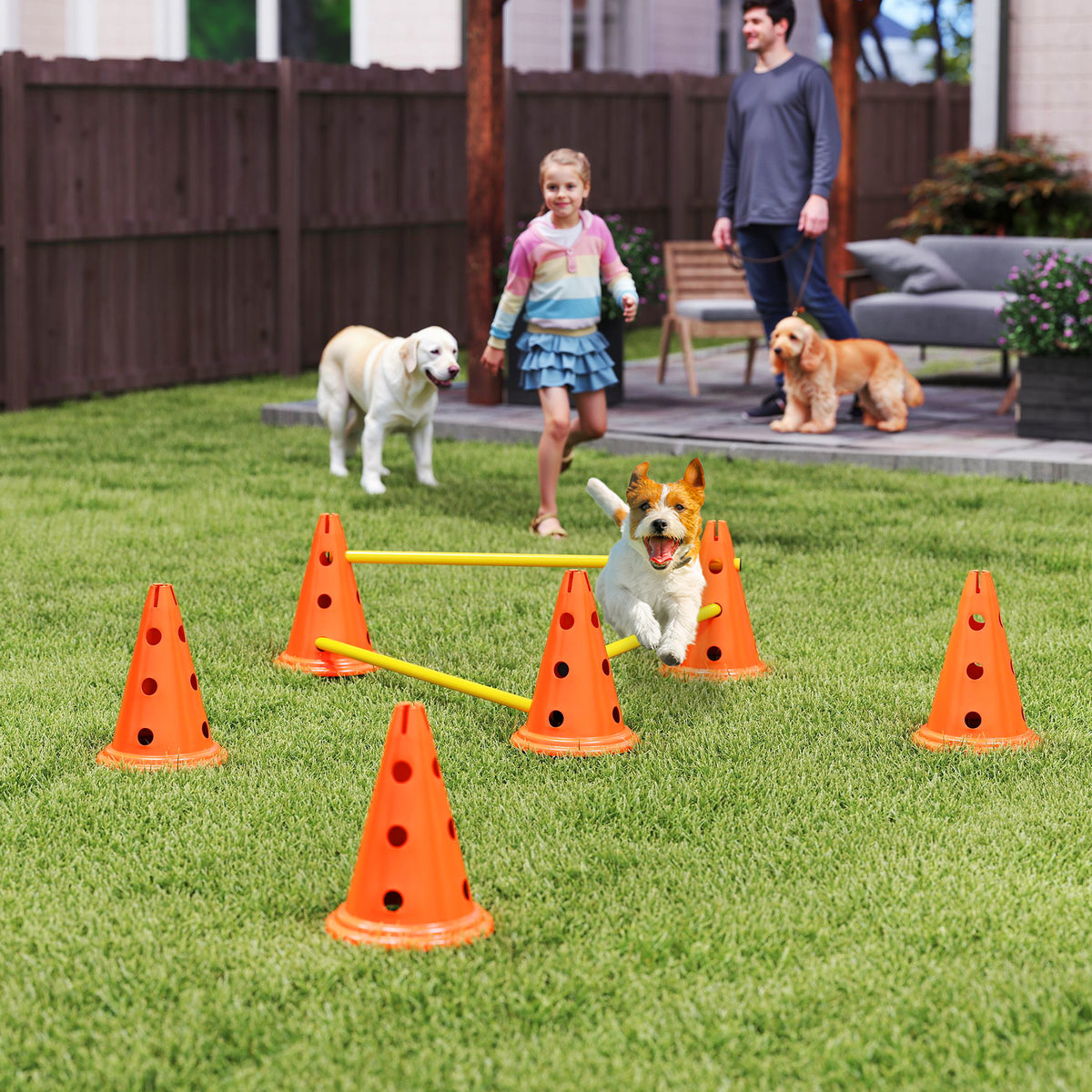 PawHut Agility Set Hunde 3-teiliges Agility-Ausrüstung für Hundetraining Steckhürdenset mit 6 Kegel 3 – Produktabbildung 2