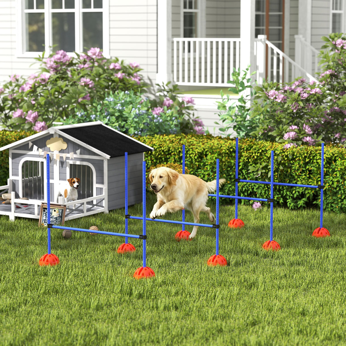 PawHut 4-teiliges Hunde-Agility-Set mit 4 Hürden und Tragetasche für das Sprungtraining, Blau – Produktabbildung 2