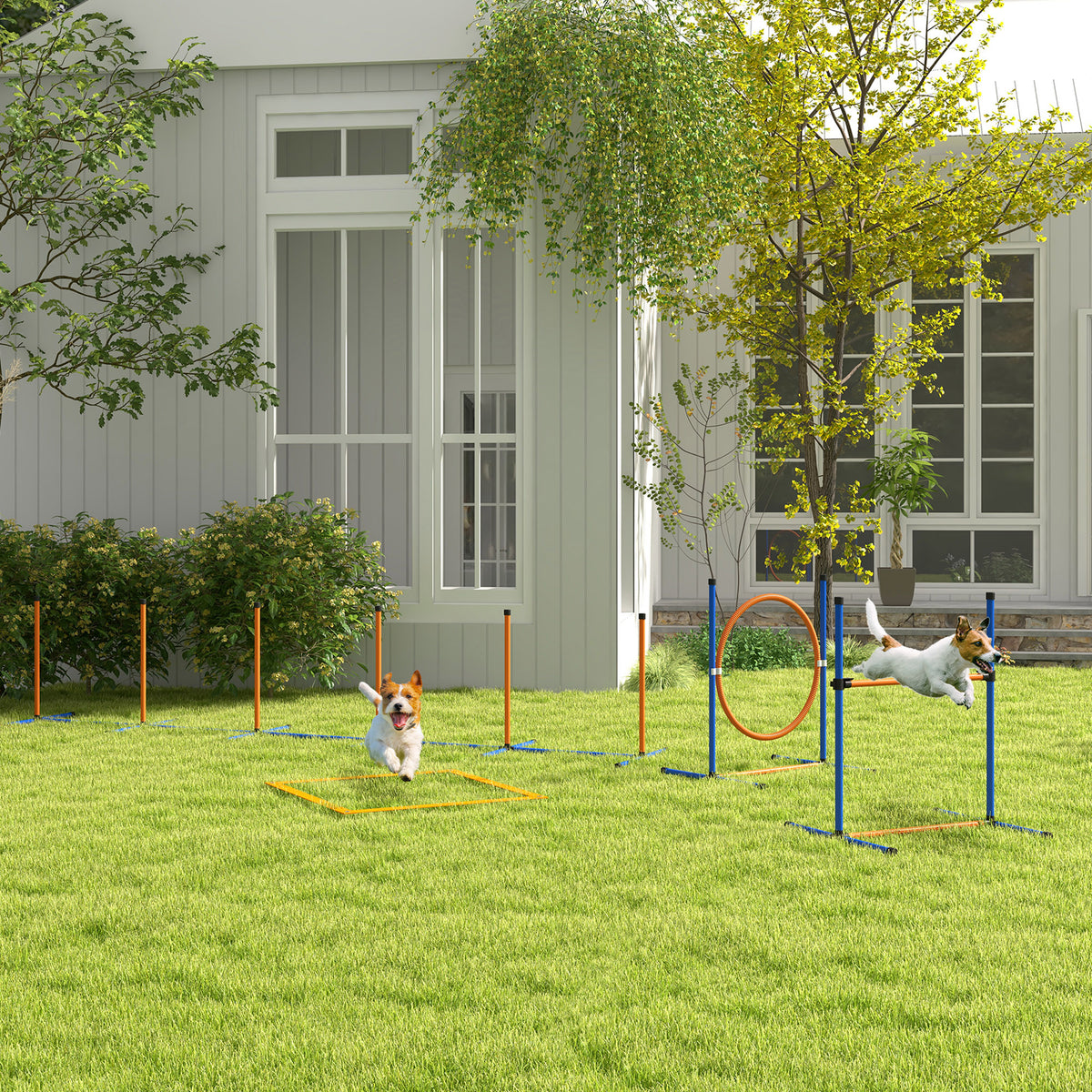 PawHut Hunde-Agiliy-Set Hundeparcours, 1 Reifen, 1 Hürde, 1 Slalom-Set, 352 cm x 66 cm x 69 cm, Blau + – Produktabbildung 2