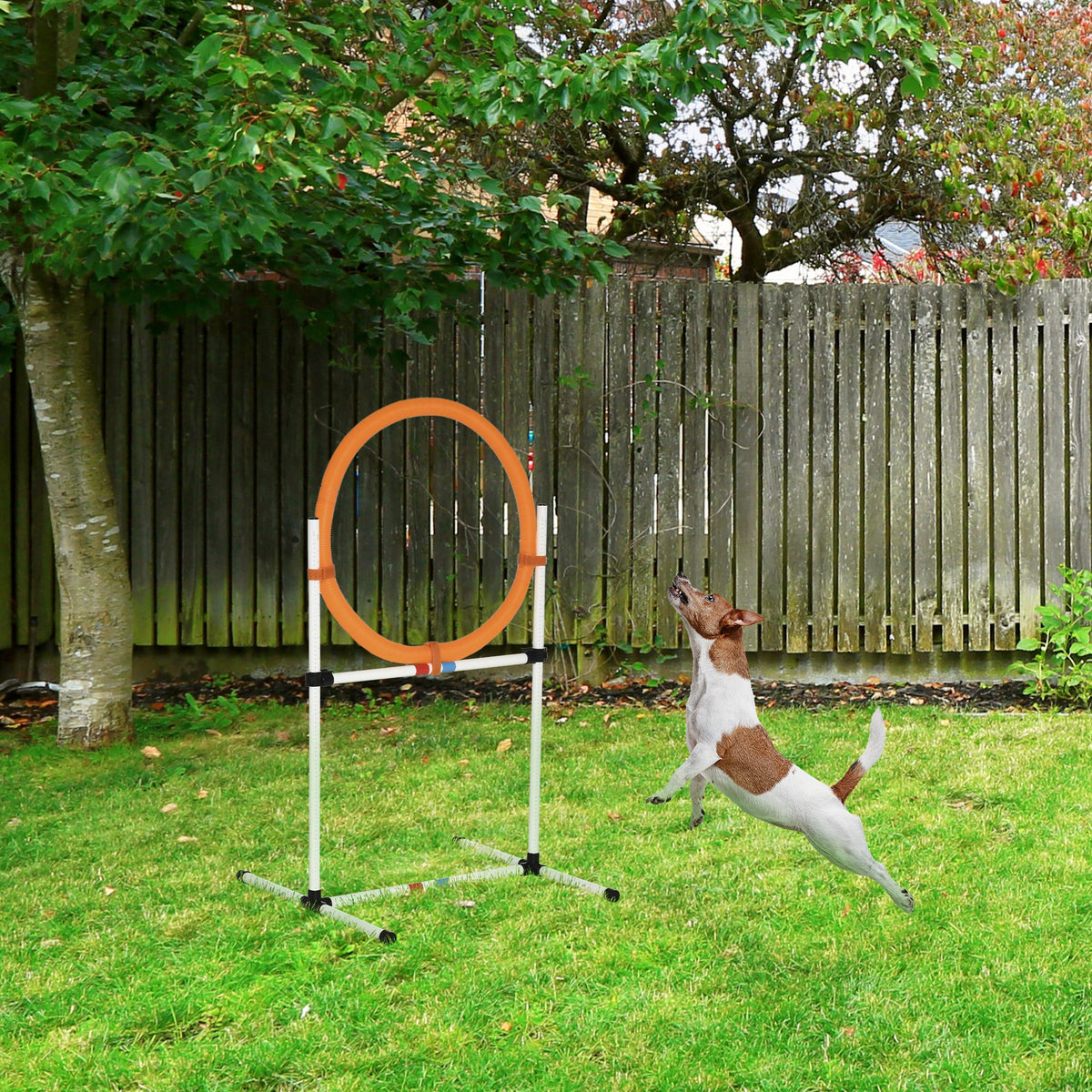 PawHut Agility Sprungring für Hunde, Agility Set Hunde, Agility Ring 2 in 1 Sprungringstange mit – Produktabbildung 2