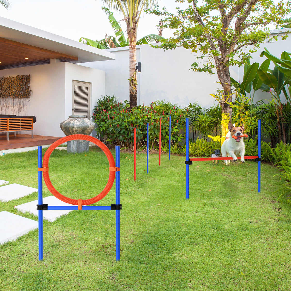PawHut Agility Set Hunde, 3-teiliges Agility Ausrüstung mit Hürden, Slalomstangen, Springring – Produktabbildung 2