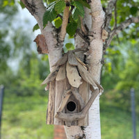 Driftwood Birdbox - Wallhanging