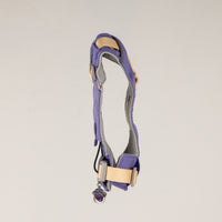 PAW - XS (2-4Kg) Dog Step-in Guardian Harness with Reflective Mesh - Lavender - Amethyst Charm