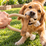 PAW Toys - Coffee Wood Chew - Loop & Tug