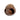 Natural Coconut Bird House - with hook - 13cm