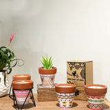 Agnes + Cat Herb Garden Candles - Clove