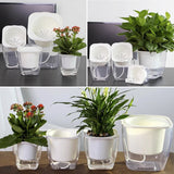 Selbstbewässernder Blumentopf für Blumen und Pflanzen – klein – Produktabbildung 8