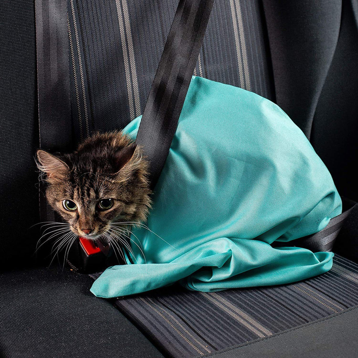 Tragetasche für Hunde und Katzen / Transporttasche - schwarz – Produktabbildung 2