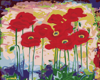 Malen nach Zahlen – Mohnblumen 60x75
