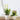 Selbstbewässernder Blumentopf für Blumen und Pflanzen – klein