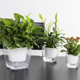 Selbstbewässernder Blumentopf für Blumen und Pflanzen – klein – Produktabbildung 7