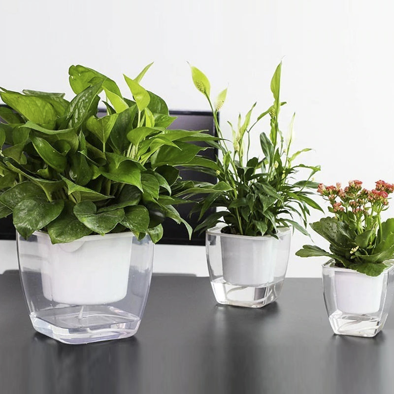 Selbstbewässernder Blumentopf für Blumen und Pflanzen – klein – Produktabbildung 7
