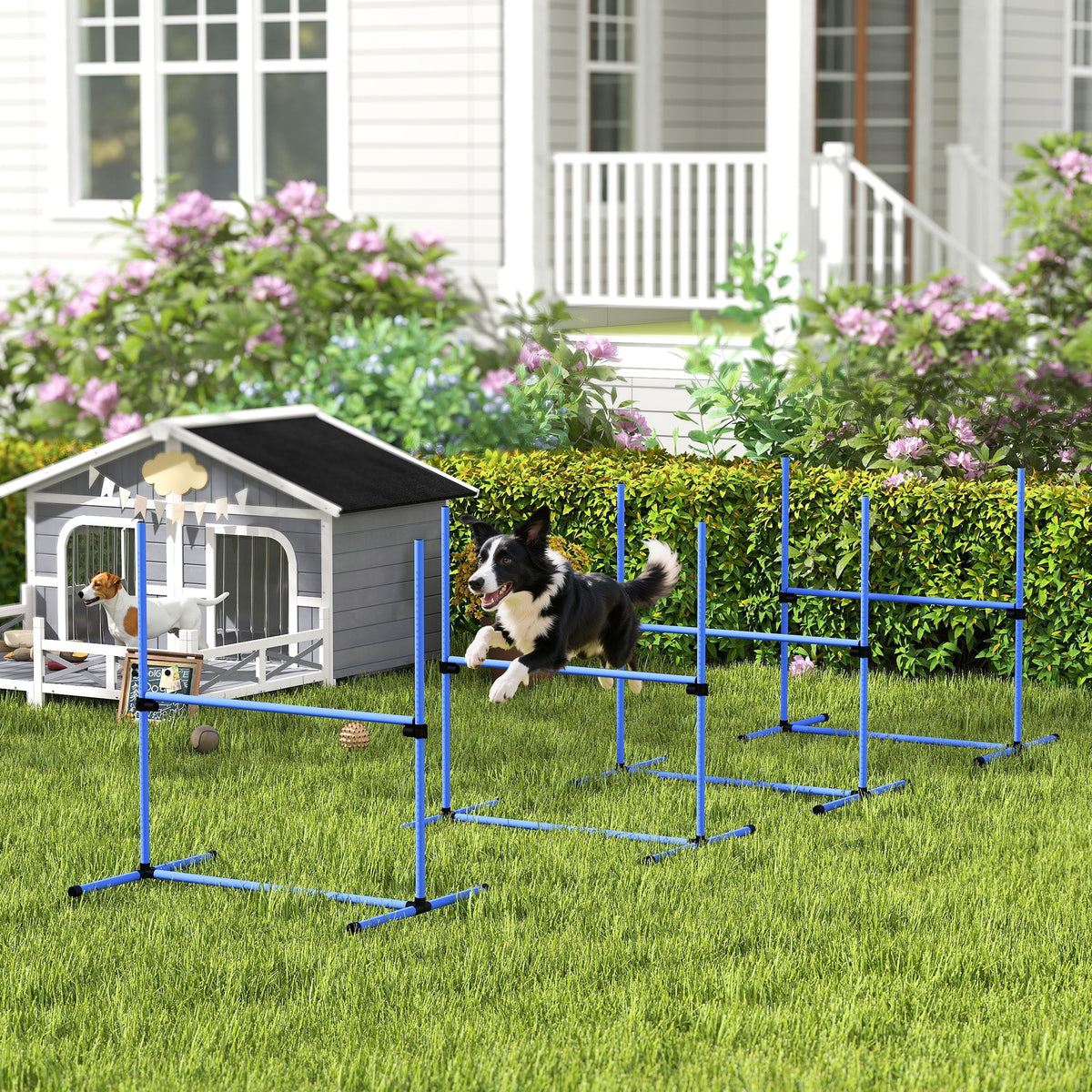 PawHut Agility Set höhenverstellbar Hunde Agility-Ausrüstung mit 4 Hürden Tragetasche 104x67 cm Blau – Produktabbildung 2