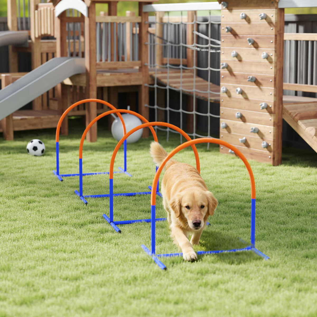 PawHut Agility-Set für Hunde, Hundetraining, 4 Bögen, für Einsteiger, mit Tragetasche, blau+orange, 88 x – Produktabbildung 2